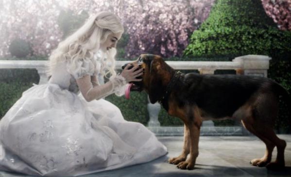 Rainha Branca e o Cachorro