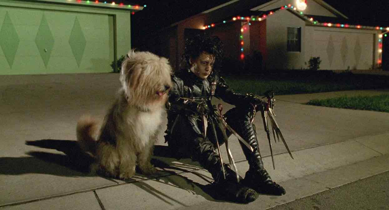 Edward com o cachorro