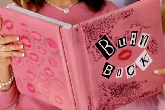 Burn Book o livro do arraso