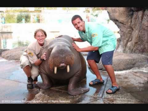 Alexa e Henry com o leão marinho